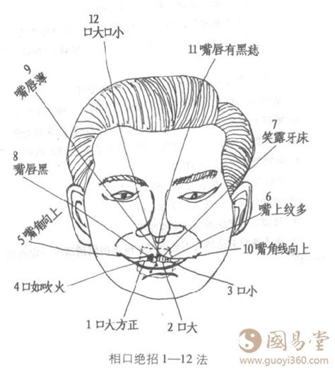 面相嘴巴|嘴相分类图文详解，总有一种属于你